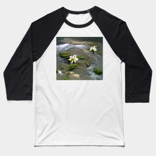 Water Lily Baseball T-Shirt